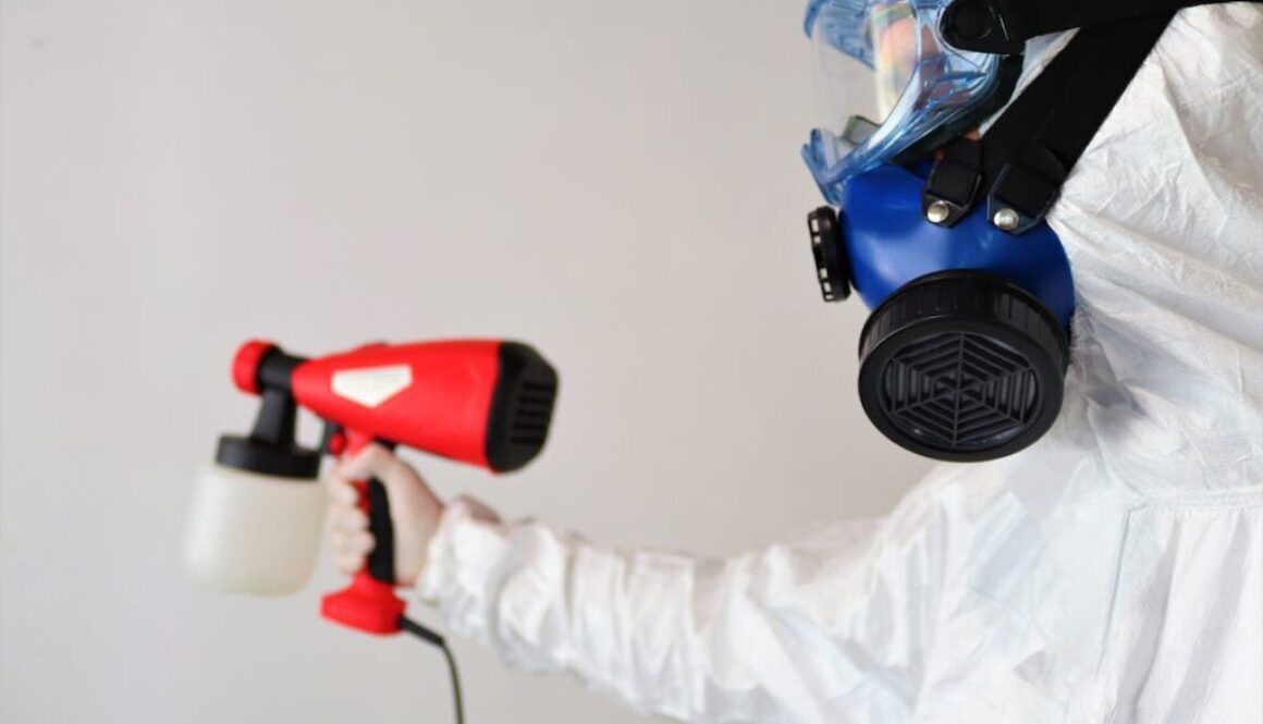 mold removal maryland