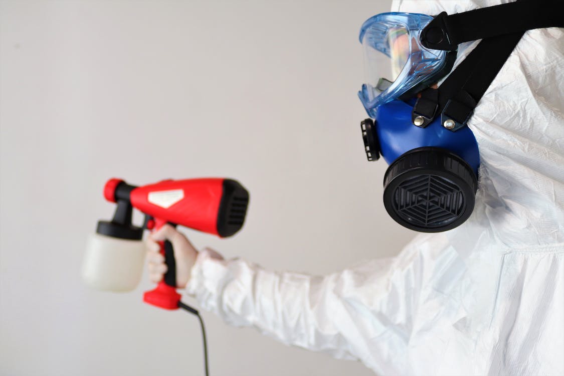 mold removal maryland